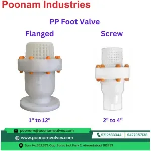 Pp Foot Valve