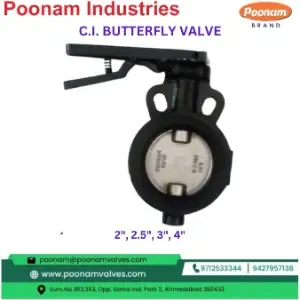 Ci Butterfly Valve