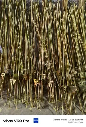 Ms Trisul Road For Mini Sprinkler1