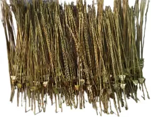 Ms Trisul Road For Mini Sprinkler2.1