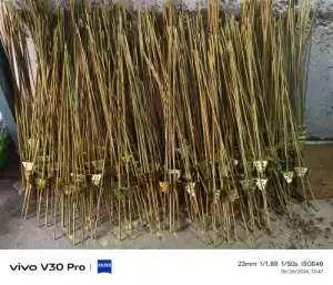 Ms Trisul Road For Mini Sprinkler2